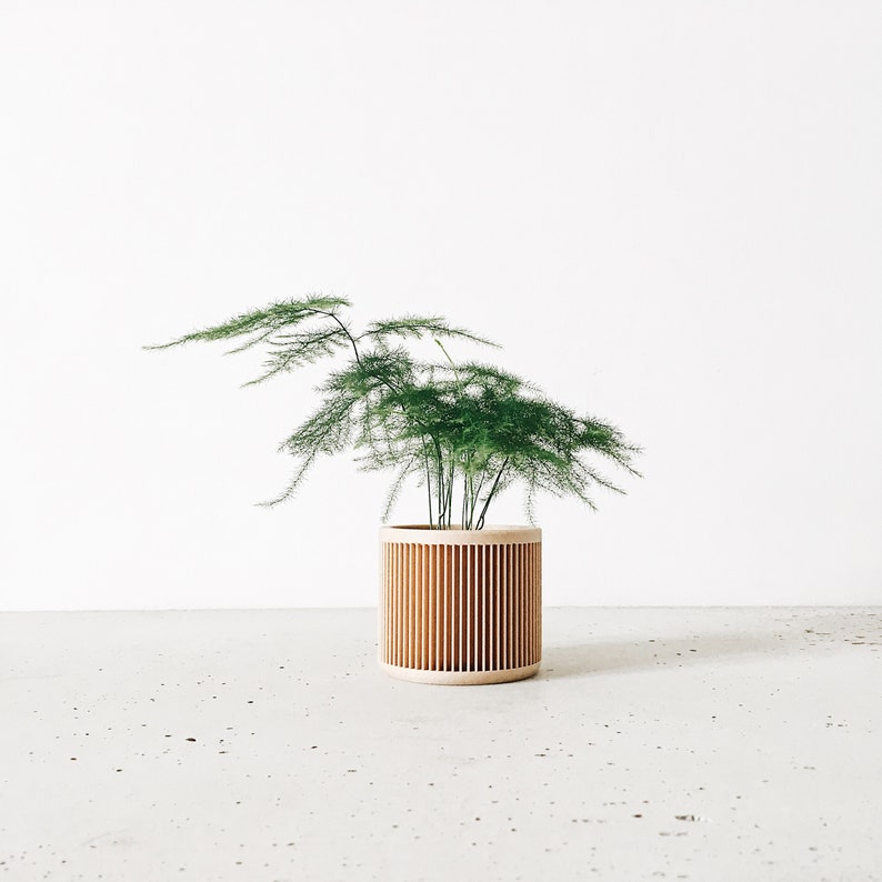 Indoor planter  JAPAN  Original planter gift image 2