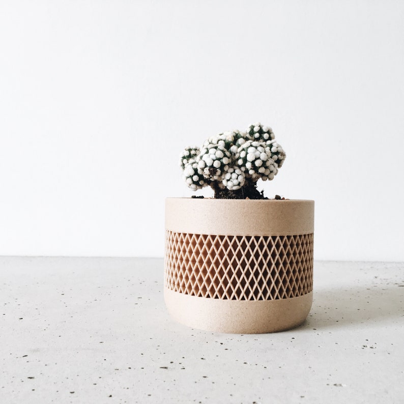 May include: A small white and green cactus plant in a beige planter with a diamond-shaped pattern.