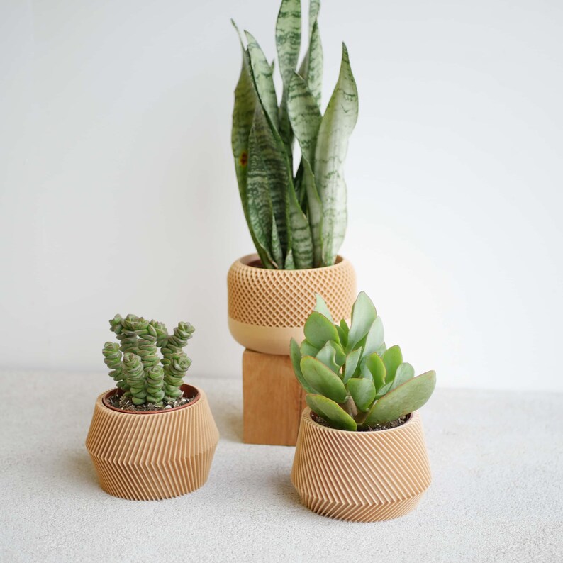 Set of 3 modern indoor plant pots perfect for succulent and cactus Original planter gift image 4