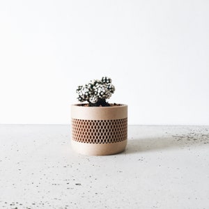 May include: A small, white and green succulent plant in a brown, geometric patterned planter.