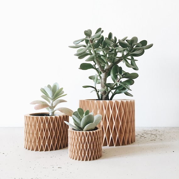 Wood indoor  plant  pot  for succulents or cacti Croix 