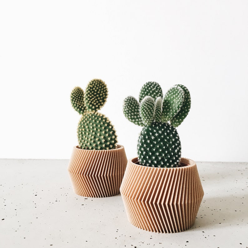 керамические горшки для суккулентов. горшочек для кактуса. горшочек для кактуса. креативные горшки для цветов. кактус забияка.