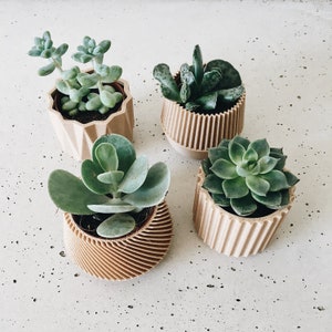 Set of 4 small indoor planters original planter gift image 5