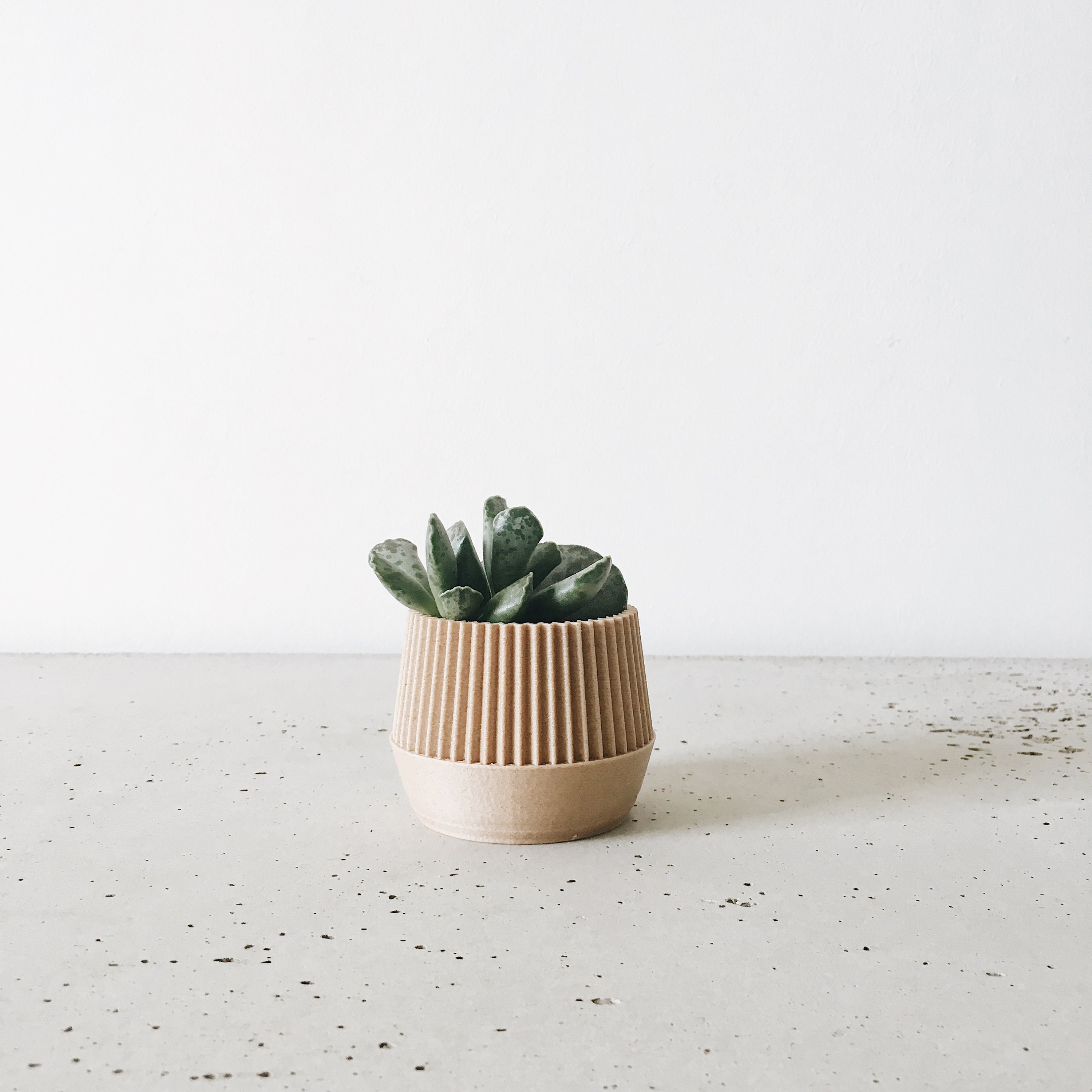 Cache Pot Bois Idéal Cactus Succulente/Kobe Design Géométrique et Minimaliste