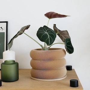 Eco-Friendly Modern Indoor Plant Pot | Sustainable Decorative Planter for Monstera, Succulents, and More 6 inches