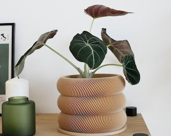 Eco-Friendly Modern Indoor Plant Pot | Sustainable Decorative Planter for Monstera, Succulents, and More 6 inches