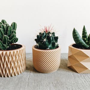 Set de 3 Mini pots, cache pots géométriques imprimés en Bois, design hygge pour plantes grasses ou cactus Cadeau original image 5