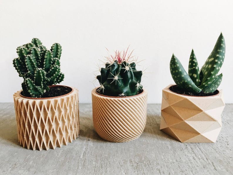 Set de 3 Mini pots, cache pots géométriques imprimés en Bois, design hygge pour plantes grasses ou cactus Cadeau original image 5