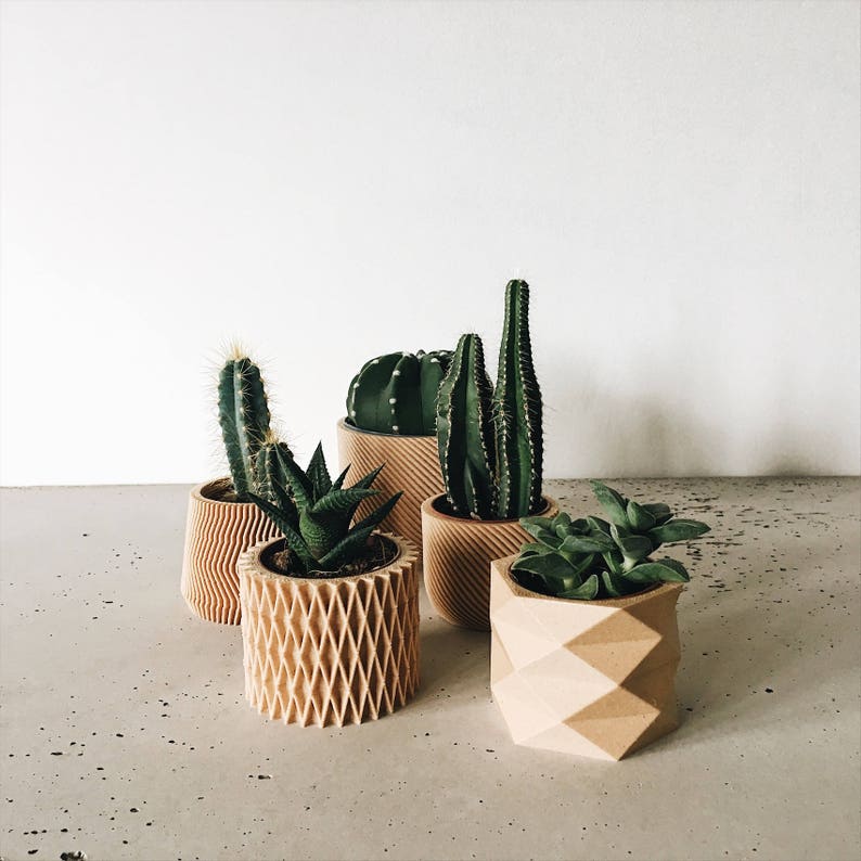 Set de 3 Mini pots, cache pots géométriques imprimés en Bois, design hygge pour plantes grasses ou cactus Cadeau original image 6