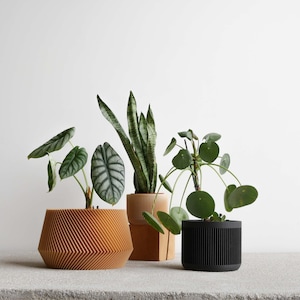 Indoor planter JAPAN Original planter gift image 9