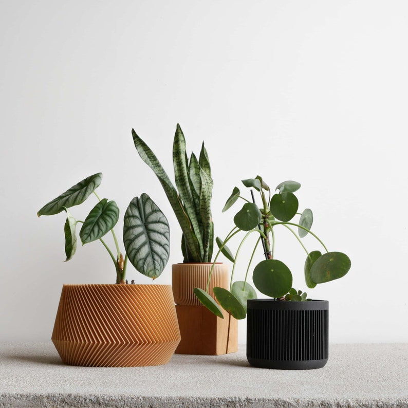 Indoor planter JAPAN Original planter gift image 9