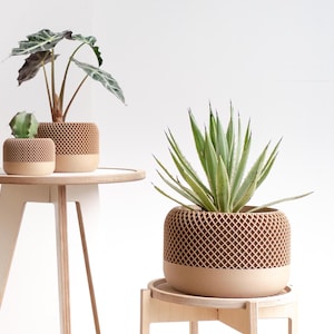 Grote beige houten design plantenbak APPEL perfect voor groene planten - Scandinavische decoratie - Origineel cadeau voor plantenliefhebbers