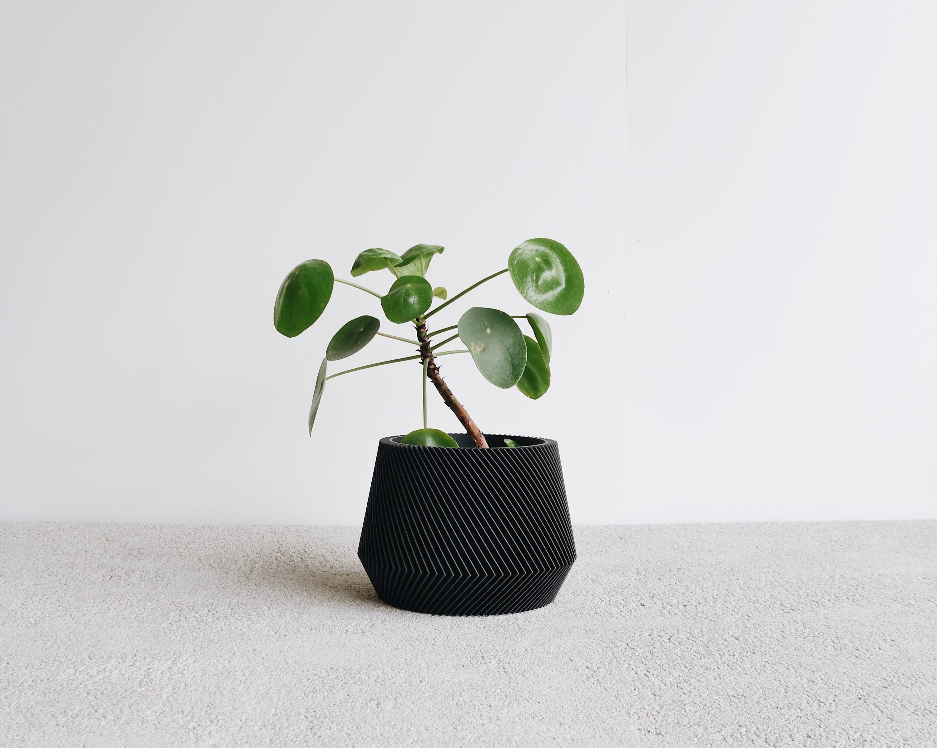 Indoor plant pot 30cm -  France