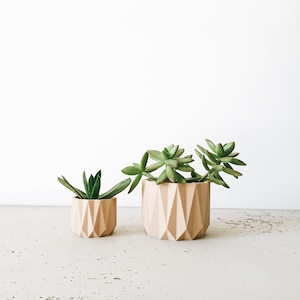 Cache-pot ORIGAMI parfait pour plante grasse et cactus image 4