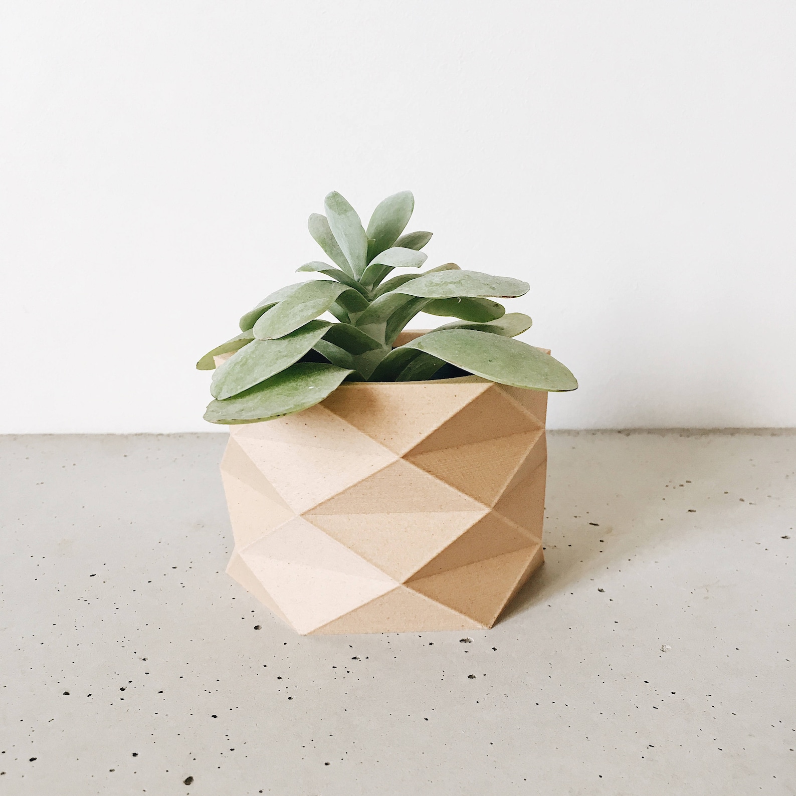 Photo inspiration: Innovative Minimalist Planters Reference: Geometric Minimalist Planter Wood Planter