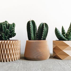 May include: Three potted succulents in different geometric wooden planters. The planters are all made of a light brown wood and have different patterns. The succulents are all green and have different shapes.