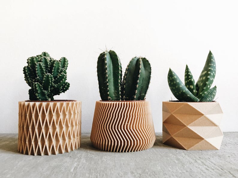 May include: Three potted succulents in different geometric wooden planters. The planters are all made of a light brown wood and have different patterns. The succulents are all green and have different shapes.