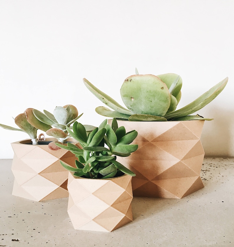 Geometric Minimalist planter Wood planter Low poly planter, for cactus and succulent ready Original planter gift for her him image 2