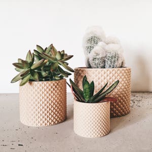 Geometrischer TOPF / CACHE POT bedruckt in Holz - Minimalistisches Design perfekt für Sukkulenten und Kakteen