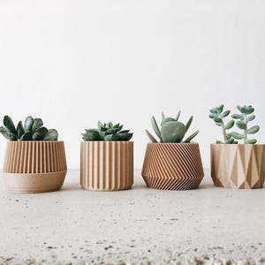 Set mit 4 kleinen Pflanzgefäßen aus Holz mit geometrischem Aufdruck - Originelles Geschenk