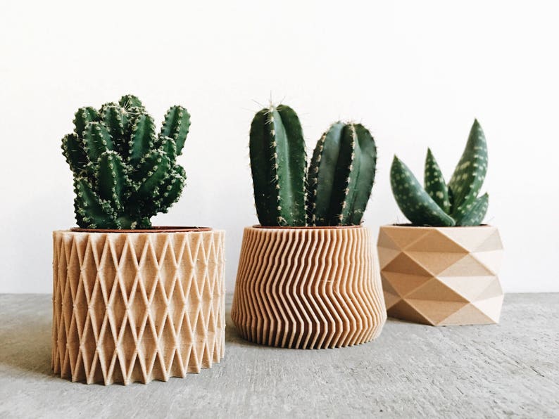 May include: Three potted succulents in unique geometric planters. The planters are made of wood and have different patterns. The succulents are green and have different shapes.