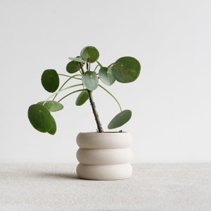 Geometrischer Übertopf aus cremefarbenem Holz EDEN, perfekt für Ihre Grünpflanzen, Kakteen und Sukkulenten! Originelles Geschenk für Pflanzenliebhaber!