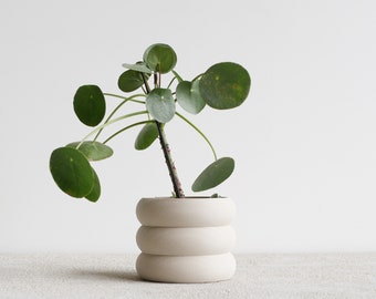 White Indoor wooden planter "EDEN"- perfect for green plants, cactus et succulent plants !
