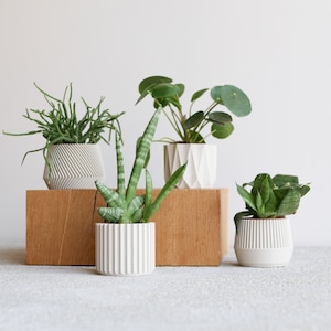Set of 4 small indoor planters white - original planter gift !