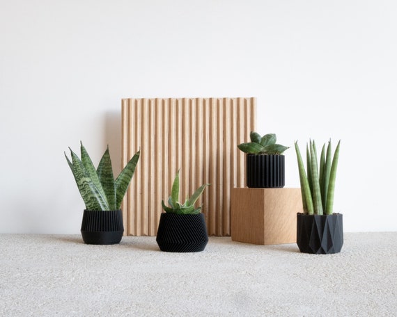 Set di 3 moderni vasi da interno perfetti per piante grasse