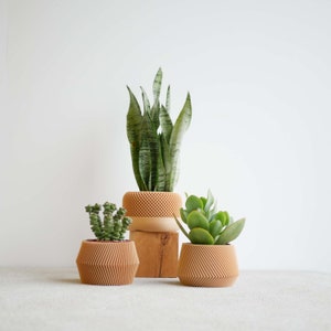 Set of 3 modern indoor plant pots perfect for succulent and cactus Original planter gift image 1