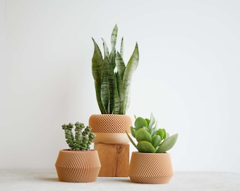 Set of 3 modern indoor plant pots perfect for succulent and cactus ! Original planter gift