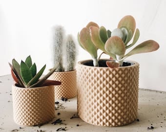 Geometric and minimalist pot / planter printed in WOOD / scandinavian design for cactus and succulents / Original planter gift