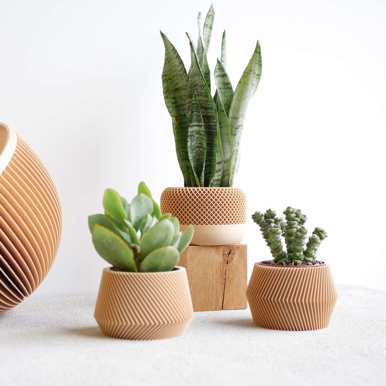 Set of 3 modern indoor plant pots perfect for succulent and cactus Original planter gift image 5