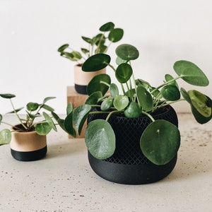 Cache pot bois noir Design géométrique et minimaliste / APPLE / Décoration scandinave image 5