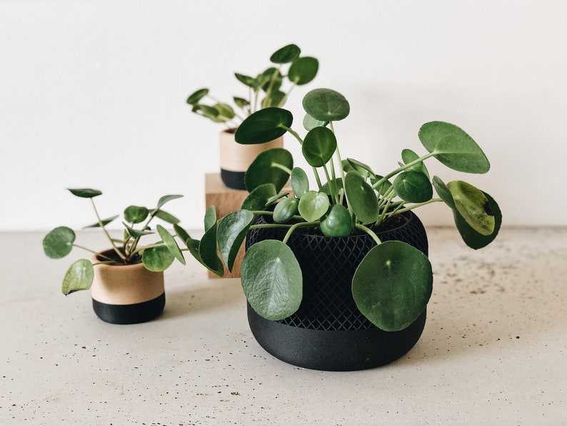 Cache pot bois noir Design géométrique et minimaliste / APPLE / Décoration scandinave image 5