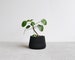 Black Indoor Planter - SAVANNE 