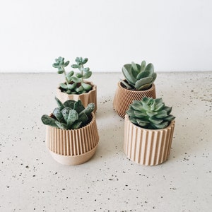 Set of 4 small indoor planters original planter gift image 6