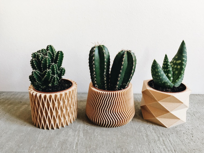 May include: Three potted plants in different wooden planters. The planters have unique geometric designs. The plants are a cactus, a succulent, and an aloe vera.