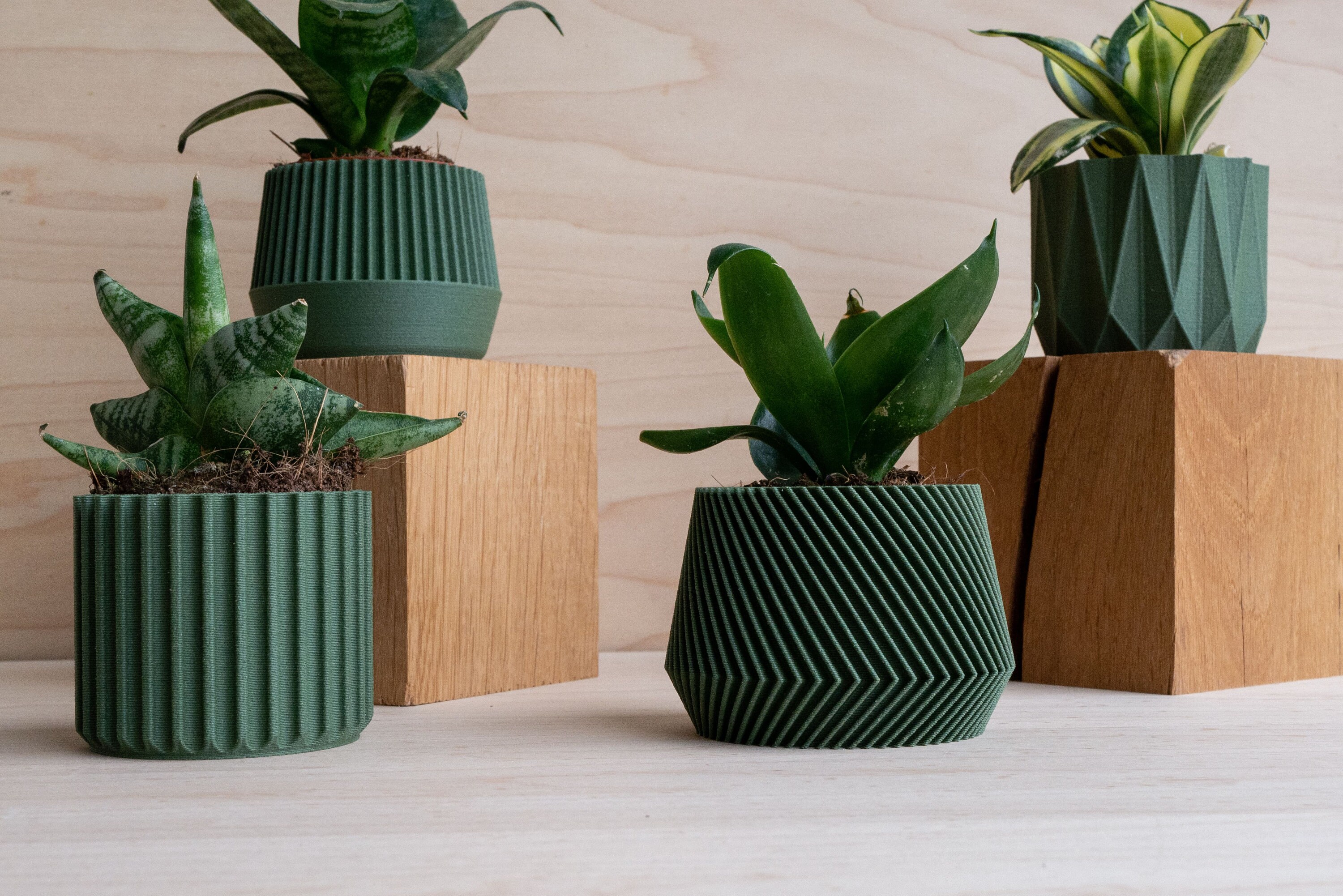 Set di 3 piccole fioriere geometriche in legno perfette per piante grasse o cactus - Italia