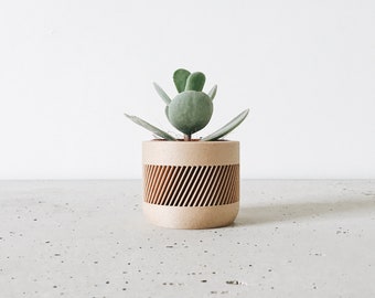 Cache-pot bois THERMA parfait pour plante grasse et cactus. Design géométrique et minimaliste  Idéal cadeau