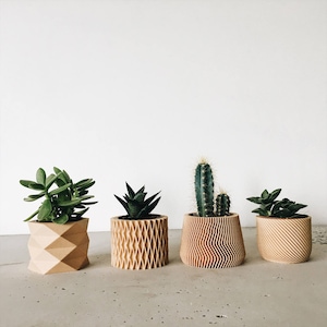 Set of 4 small wood planters for cactus & succulent