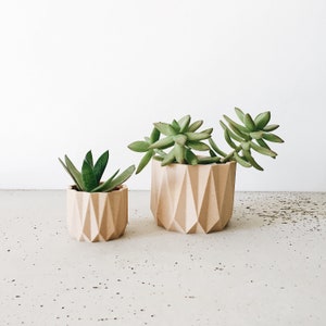 Cache-pot ORIGAMI parfait pour plante grasse et cactus image 2