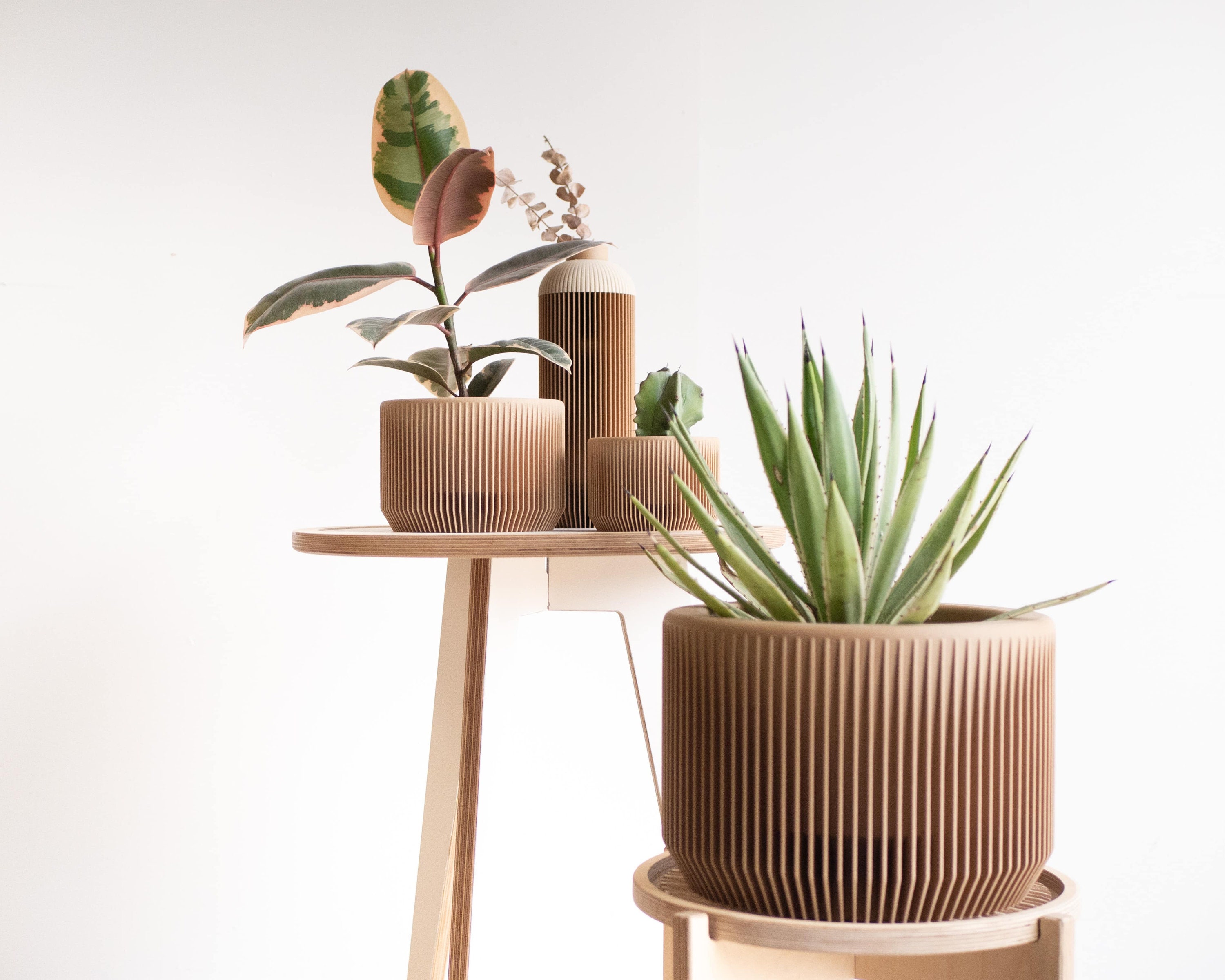 Large Indoor Planter - PRAHA - Wood - for Green Plant Cactus and ...