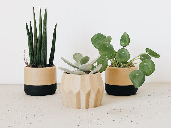 Set de 3 cache-pots géométriques imprimés en bois - Cadeau original