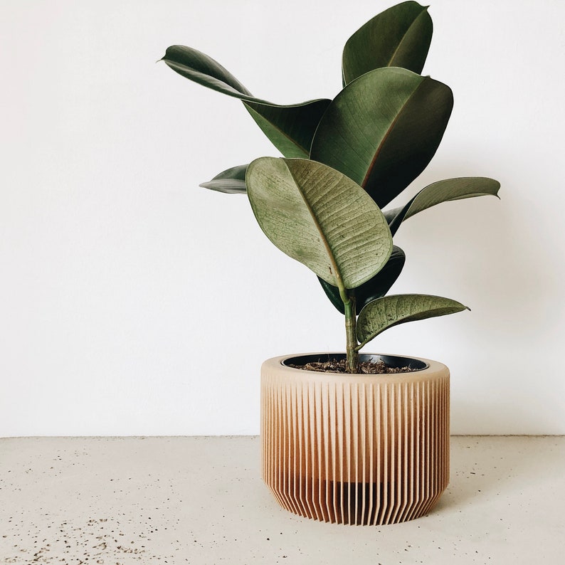 May include: A large green leafy plant in a light brown wooden planter with a ribbed design. The planter is sitting on a light gray concrete surface.