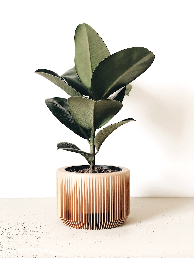 May include: A green leafy plant in a light brown wooden planter with vertical slats. The planter is cylindrical and has a black inner pot.