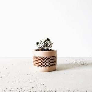 May include: A small white and green cactus plant in a brown planter with a geometric pattern. The planter is sitting on a light gray concrete surface.
