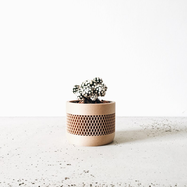 May include: A small white and green cactus plant in a brown planter with a geometric pattern. The planter is sitting on a light gray concrete surface.