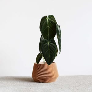 OSLO bedruckter Holzpflanzer – minimalistische Wohndekoration – Originelles Geschenk für Pflanzenliebhaber!