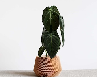 Beige unique indoor planter - perfect for green plant - OSLO